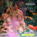 Larry Coryell - Underground Volume 11 / Vanguard Larry Coryell - Underground Volume 11 / Vanguard